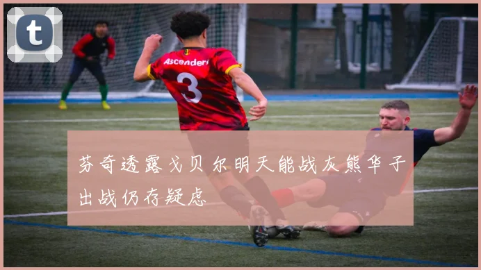 芬奇透露戈贝尔明天能战灰熊华子出战仍存疑虑