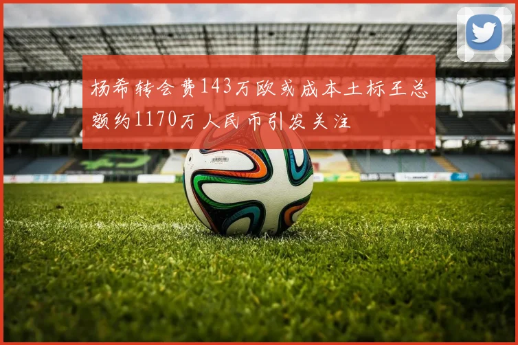 杨希转会费143万欧或成本土标王总额约1170万人民币引发关注